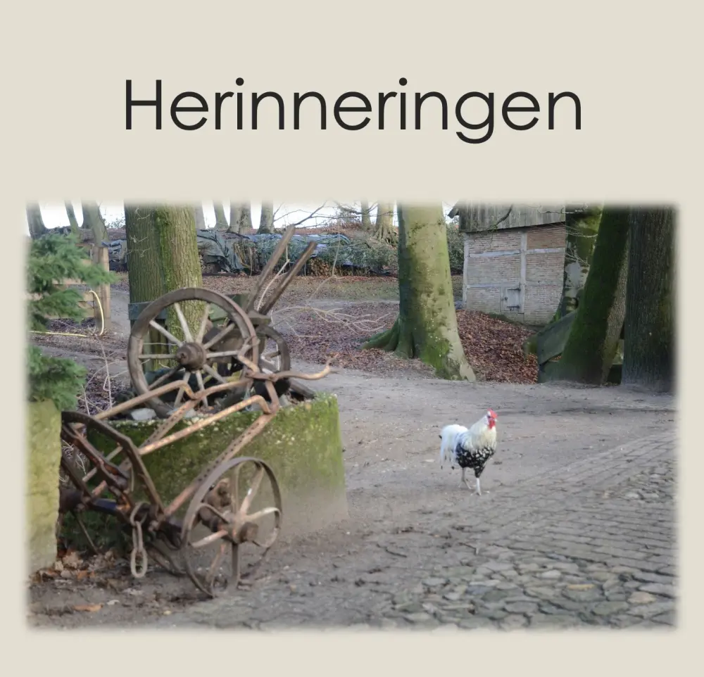 Saskia_Lensink_Scherm-afbeelding-2026-08-24-om-16-13-37.webp